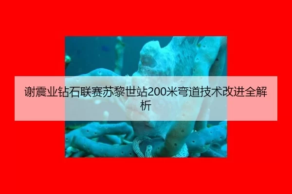 谢震业钻石联赛苏黎世站200米弯道技术改进全解析