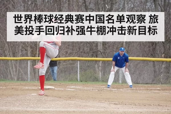baseball bullpen pitcher